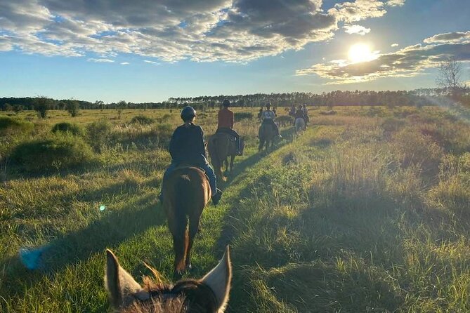 Horseback Ride on Scenic Lake Louisa Trails - Good To Know