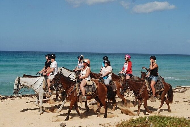 Horseback Riding Along the Beaches of Punta Cana and Macao - Key Points