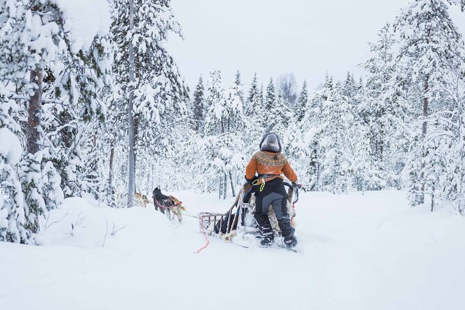 Husky Hugging and Sleigh Ride in Rovaniemi - Key Points