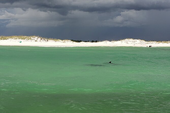 Hydro Rocket Dolphin Sightseeing Boat Tour From Destin - Key Points