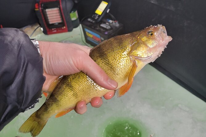 Ice Fishing in Park City: A Review - Overview and Pricing