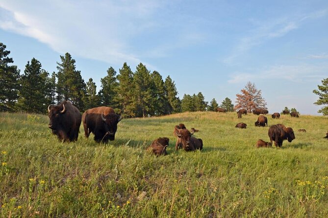 Icons of the West: Black Hills & Badlands 3-Day Tour - About Your Stay