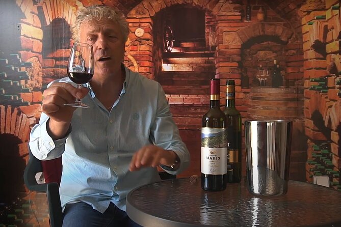 Interactive Wine Tour in Dubrovnik