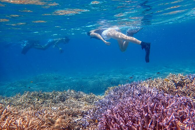 Ishigaki Phantom Island Snorkeling ＆ Kabira Bay SUP or Canoeing - Key Points