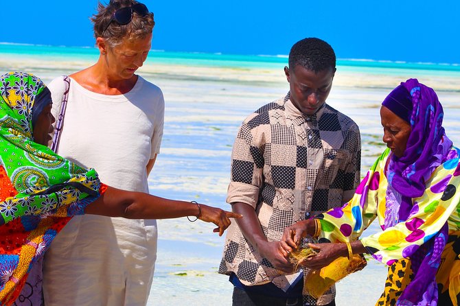 Jambiani Village Tour and Dhow Sailing - Key Points