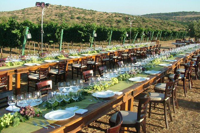 Judean Hills Wine Tasting Tour From Tel Aviv
