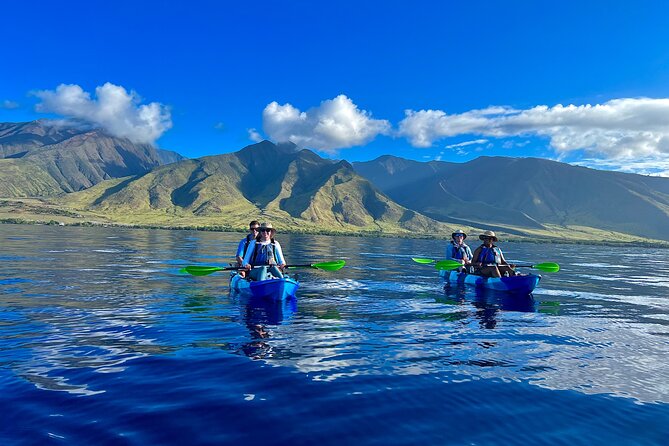 Kayak, Whale Watch, and Snorkel With Optional Photo and Video - Good To Know
