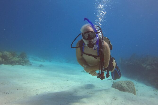 Key Largo 2-Tank Scuba Dive Trip Within Pennekamp Reserve - Dive Experience