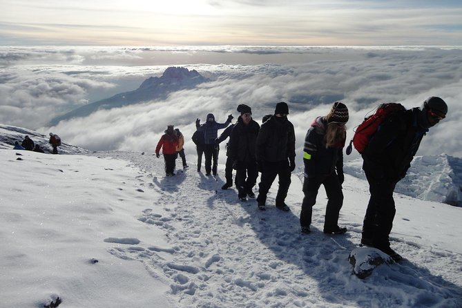 Kilimanjaro Climb Lemosho Route 8 Days - Key Points