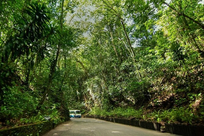 Konoko Falls, City Highlights Ocho Rios (Entry Fees Included) - Pricing and Cancellation Policy