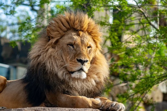 Krakow: Zoo Tour - Key Points