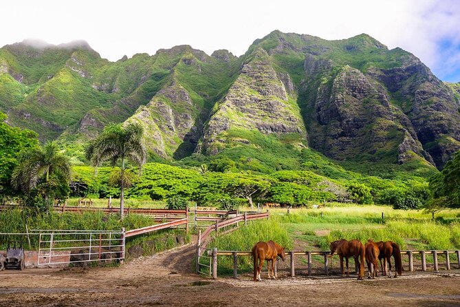 Kualoa Ranch: Ocean Voyage Tour - Good To Know