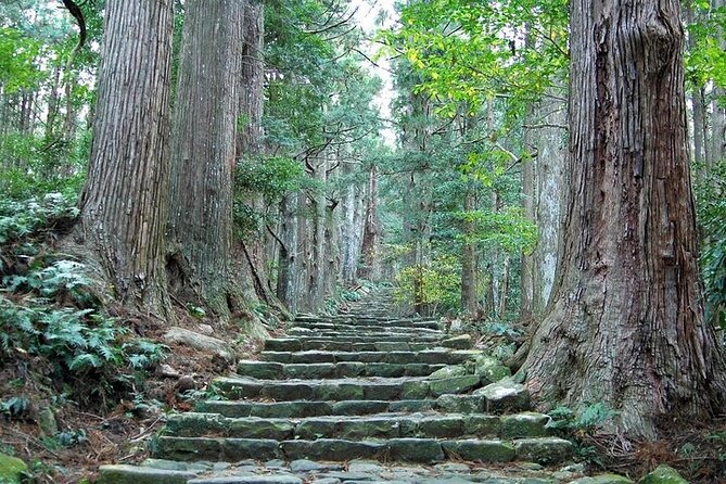 Kumano Kodo Half Day Daimonzaka and Nachi Taisha Tour - Good To Know