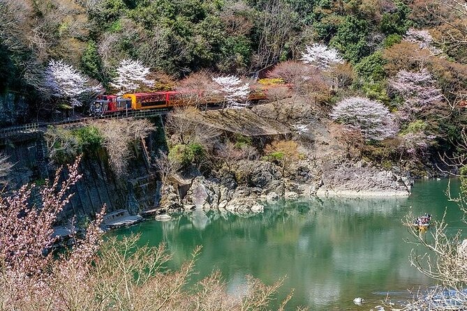 Kyoto Sagano Romantic Train With Cherry Blossoms Bus Tour - Good To Know