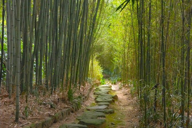 Kyoto Sakura & Hidden Gems of Timeless Tradition - Good To Know