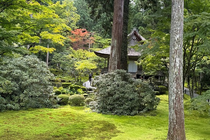 Kyoto: Tranquil Escape to Ohara Satoyama and Sanzen-in Temple - Taking in the Matcha Tea Ceremony