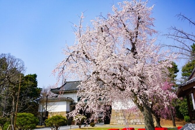 Kyotos World Heritage Walking Tour From Kyoto St. - Key Points