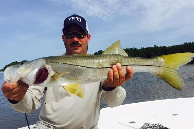 Lake Berryessa Fishing Charters - Key Points