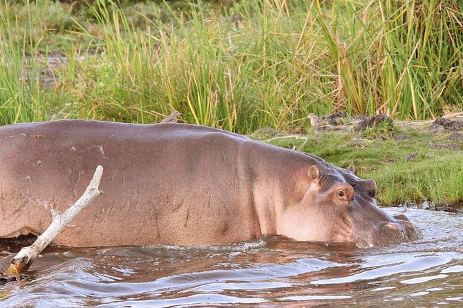 Lake Victoria and Western Kenya 8 Days Adventure Safari
