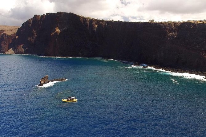 Lanai Deluxe Dolphin Adventure & 3 Snorkel Sites - Good To Know