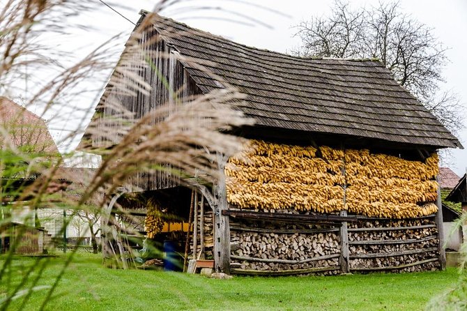 Land of Hayracks - Private Tour to Dolenjska Region From Ljubljana - Tour Overview
