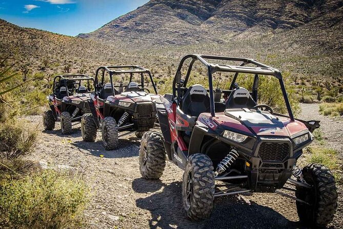 Las Vegas Mini Desert RZR Adventure Review - Good To Know