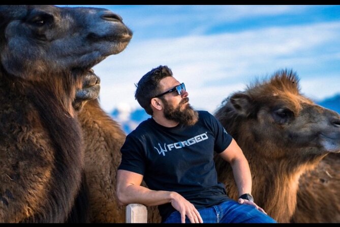 Las Vegas VIP Sunset Safari Tour Review - Tour Overview and Highlights