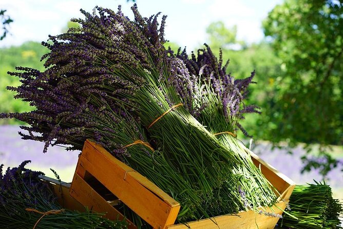 Lavender Tour From Pamukkale With Drop off Denizli Airport - Key Points