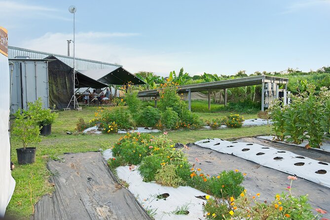 Learn About Organic Farming - Overview of Organic Farming Experience