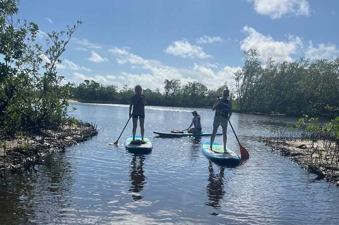 Let's Paddle! Jupiter Experience Review - Overview of the Paddleboarding Experience
