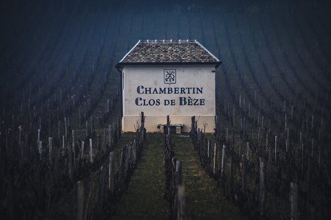 Luxurious Wine Tour in Burgundy - Key Points