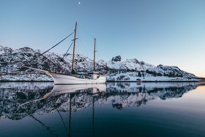 Luxury Arctic Fishing Trip and Seafood Fjord Cruise in Tromsø - Key Points