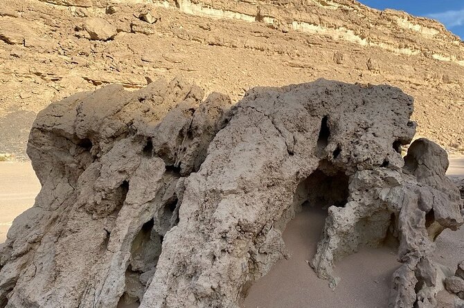 Luxury Desert Safari Tour Review - Good To Know