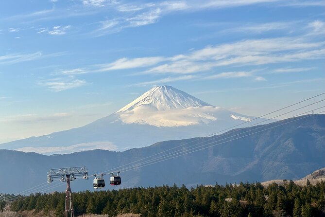 Luxury Hakone Hot Spring & Lake Ashi Cruise Tour From Tokyo - Key Points