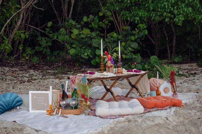 Luxury Picnic in St. Thomas - Key Points