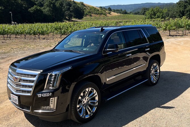 Luxury Wine Tour in Paso Robles Review - Tour Overview and Inclusions