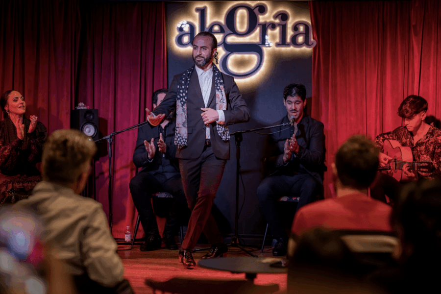 Flamenco Alegría Málaga show with dancer mid-zapateado