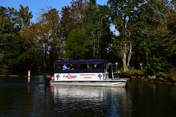 Manatee Snorkel Tour - Small Group - Good To Know