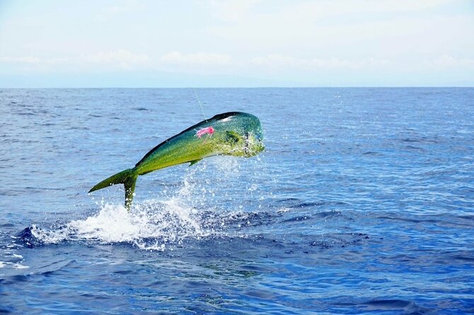 Marathon Florida Keys Fishing Experience Review - Experience Overview
