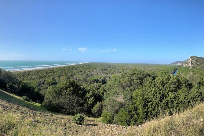Maremma Natural Park E-Bike Tour - Key Points