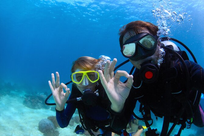 Marmaris Full Day Scuba Diving Two Dives With Lunch Hotel Pickup - Key Points