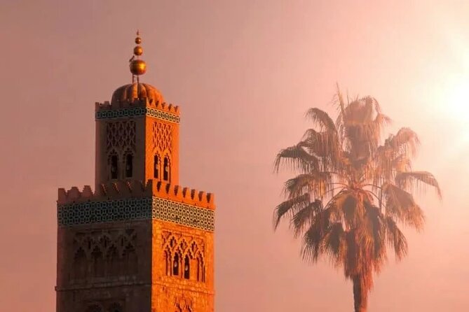 Marrakech Guided Day Trip From Taghazout - Key Points