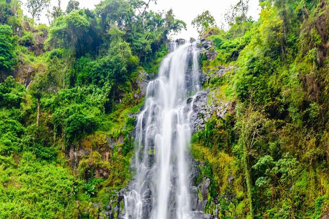 Materuni Waterfall and Coffee Tour - Key Points