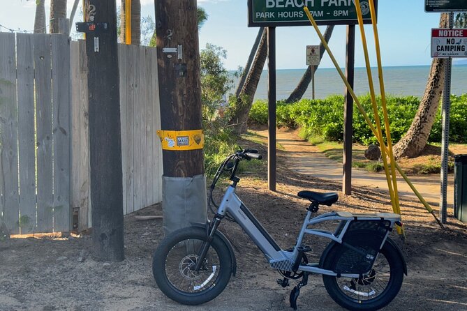 Maui Electric Bike and Scooter Review - Overview of the Activity