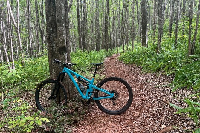 Maui Mountain Bike Adventure Review - Good To Know