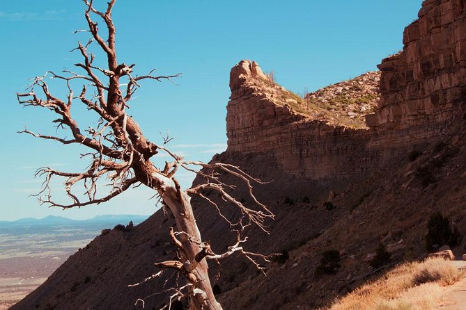 Mesa Verde Highlights Tour - Good To Know