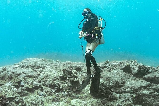 Mesmerizing Private SCUBA Diving Charter Review - Overview of the Scuba Diving Experience