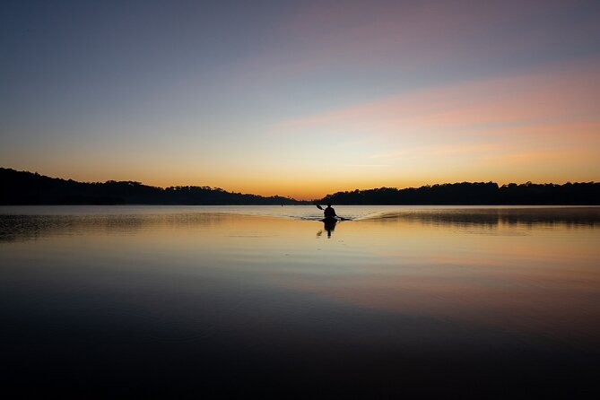 Miami Kayak Sunset Biscayne Bay Tour Review - Tour Overview
