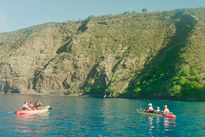 Midday Meander - Kealakekua Bay Kayak and Snorkel Adventure - Key Points