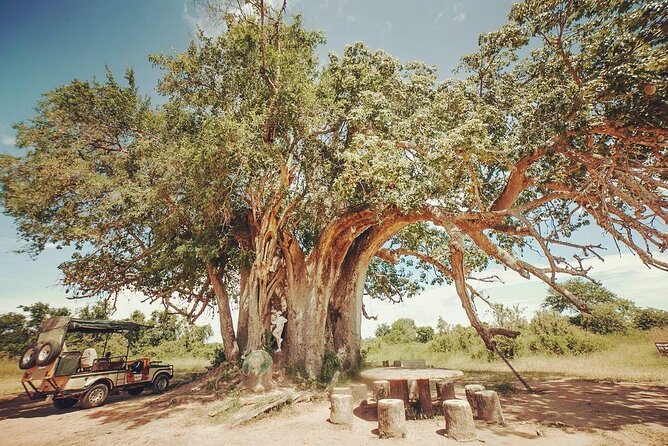 Mikumi National Park 3 Day Tour